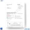 Bank Of America Statement Template 1 - Business Fundamentals Checking - MbcVirtual