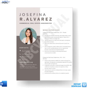 Commercial Real Estate Underwriter Resume Template