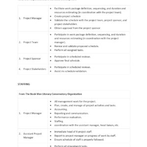 Project Management Work Plan Template
