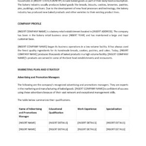 Project Report for Bank Loan Template