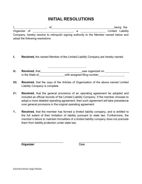 Single Member Llc Template - Mbcvirtual