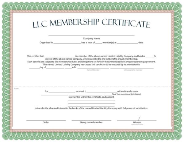 Single Member LLC Template - MbcVirtual