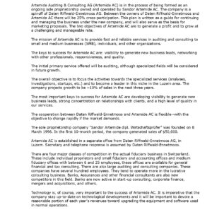 Pro Auditing & Consulting Business Plan Template