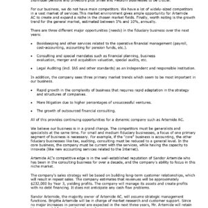 Pro Auditing & Consulting Business Plan Template
