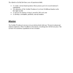 Pro Child Care Business Plan Template