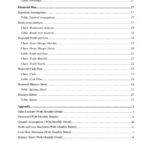 Pro Cleaning Service Business Plan Template
