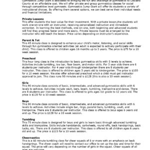 Pro Gymnastics Instruction Business Plan Template