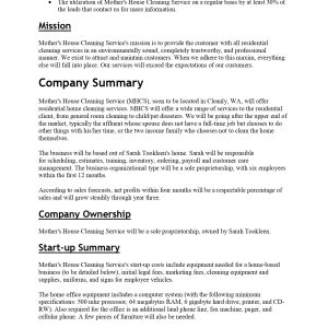 Pro Cleaning Service Business Plan Template