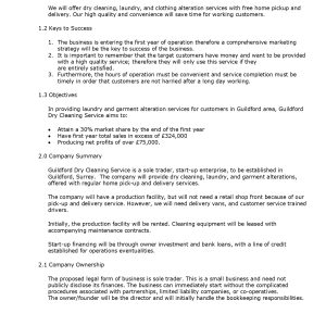 Pro Dry Cleaning Uk Business Plan Template
