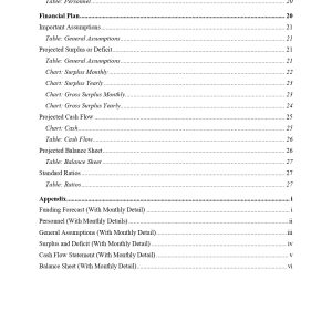 Pro Nonprofit Youth Services Business Plan Template