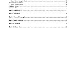 Pro Clothing E-commerce Site Business Plan Template