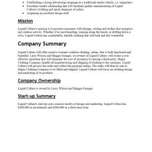 Pro Clothing E-commerce Site Business Plan Template