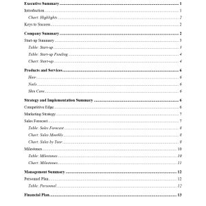 Pro Hair and Beauty Salon Business Plan Template