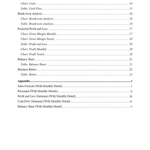 Pro Hair and Beauty Salon Business Plan Template