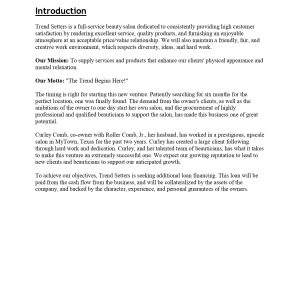 Pro Hair and Beauty Salon Business Plan Template