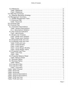 Pro Holding Company Business Plan Template - MbcVirtual