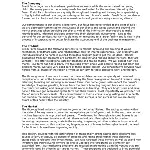 Pro Horse Training Business Plan Template