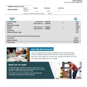 Southwest Gas Bill Template