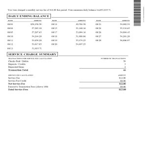 2 Months Chase Statements – Chase Total Business Checking