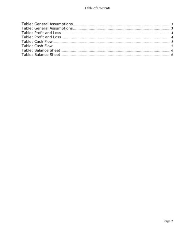 example of a shuttle business plan