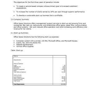 Pro Office Consulting Business Plan Template