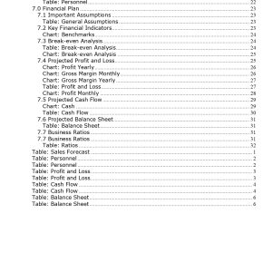Pro Regional Airline Business Plan Template