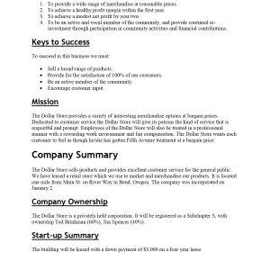 Pro Retail Discount Store Business Plan Template