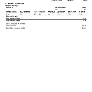 Scana Energy Bill Template